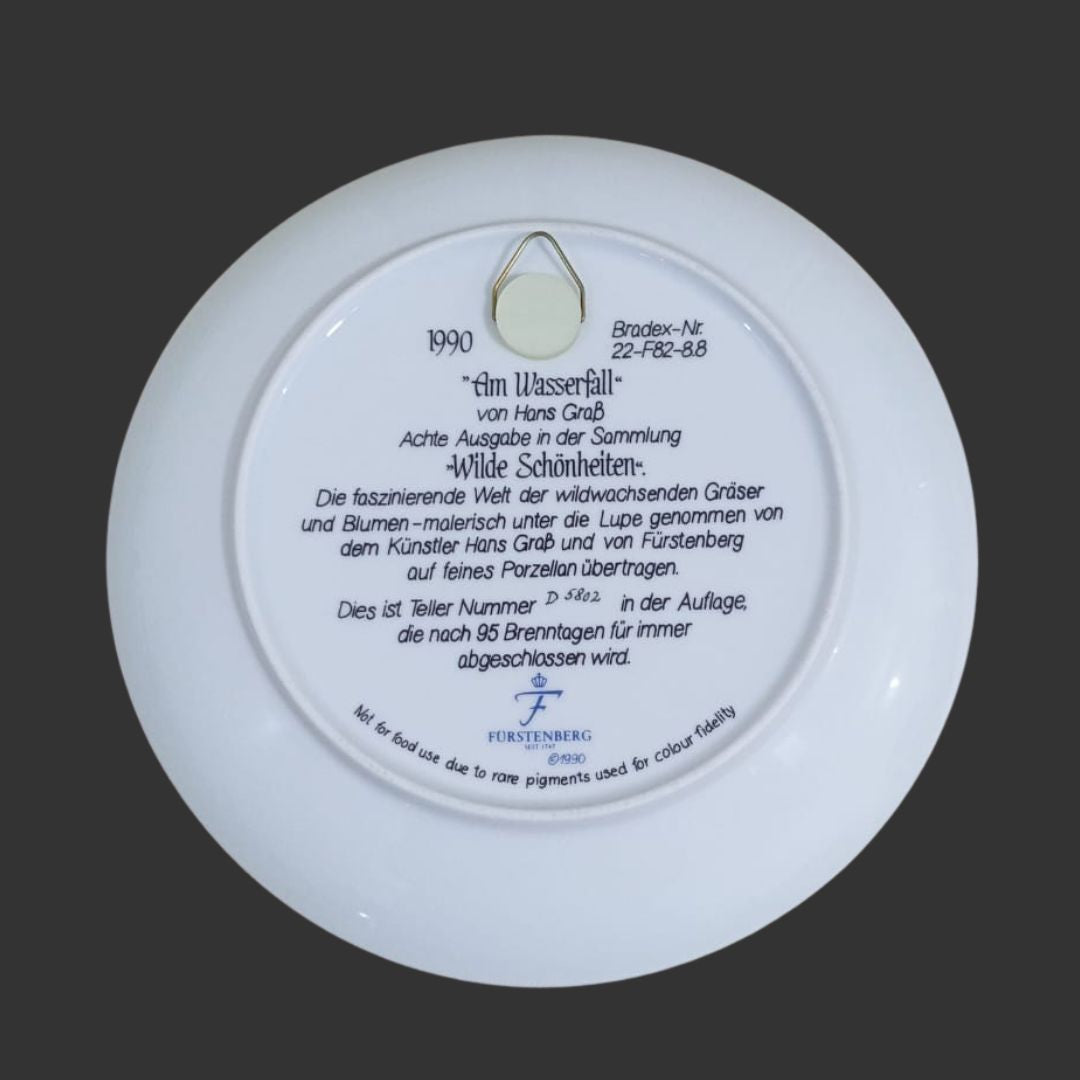 Wall hanging plate