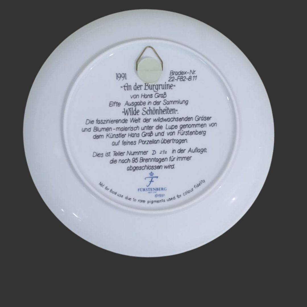 Wall hanging plate