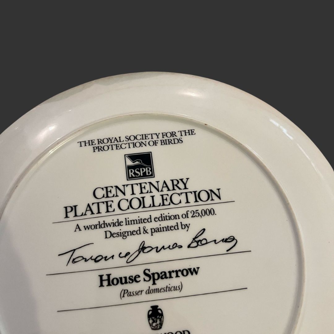 Wall Hanging Plate