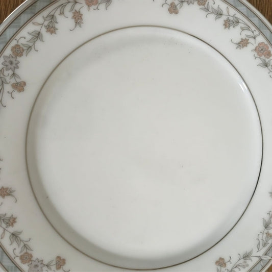 Dinner plate