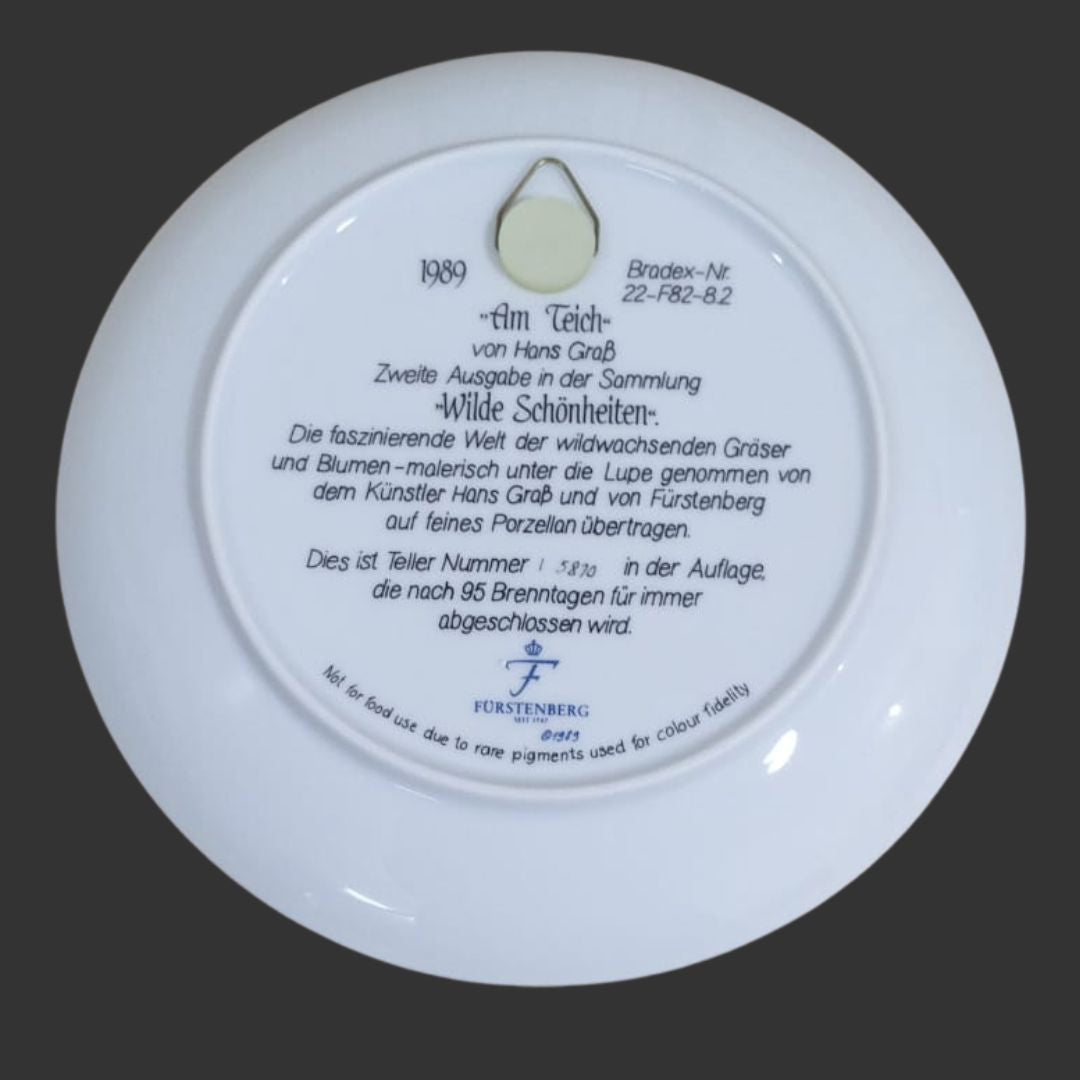 Wall Hanging Plate