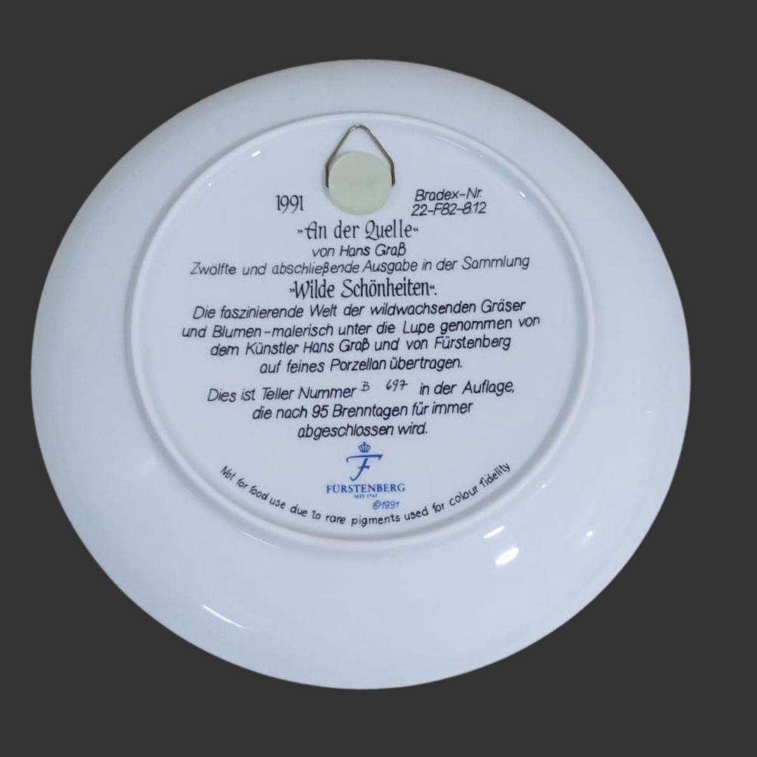 Wall Hanging Plate