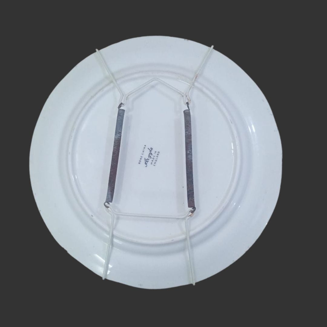 Wall Hanging Plate