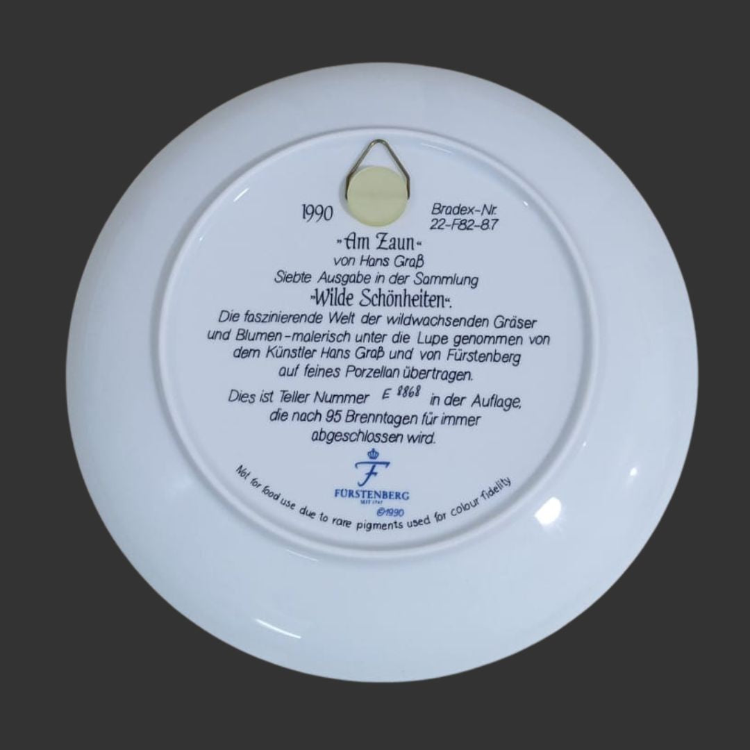 Wall Hanging Plate