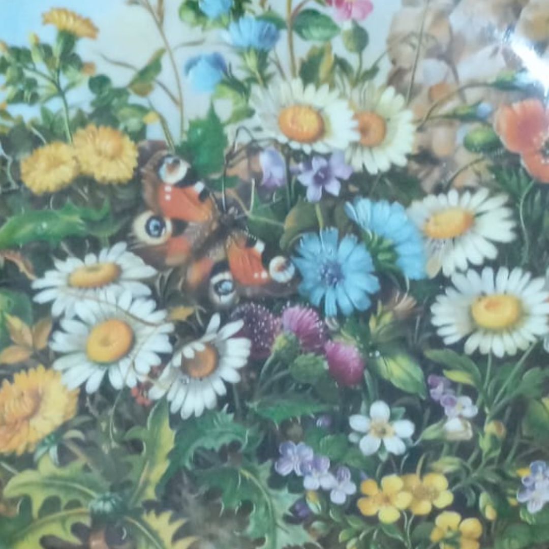 Wall Hanging Plate