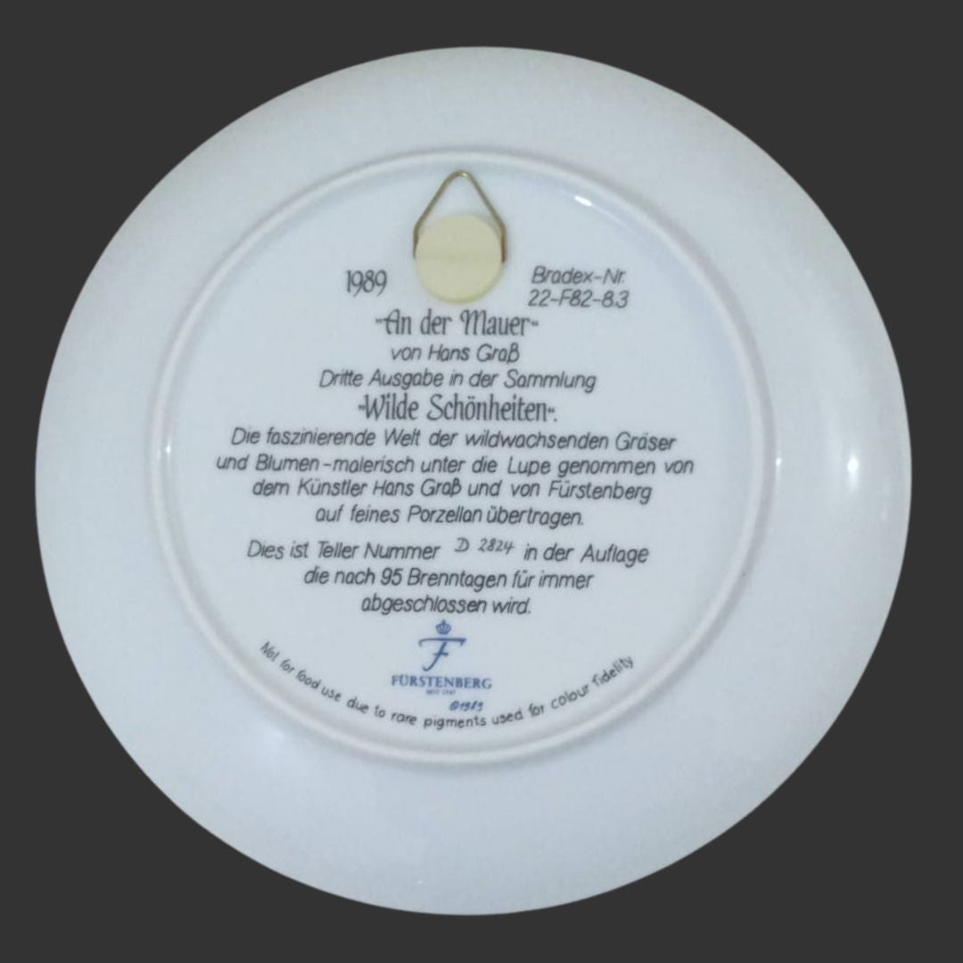 Wall Hanging Plate