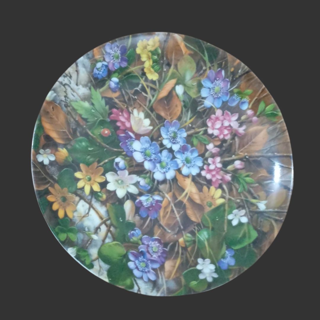 Wall Hanging Plate