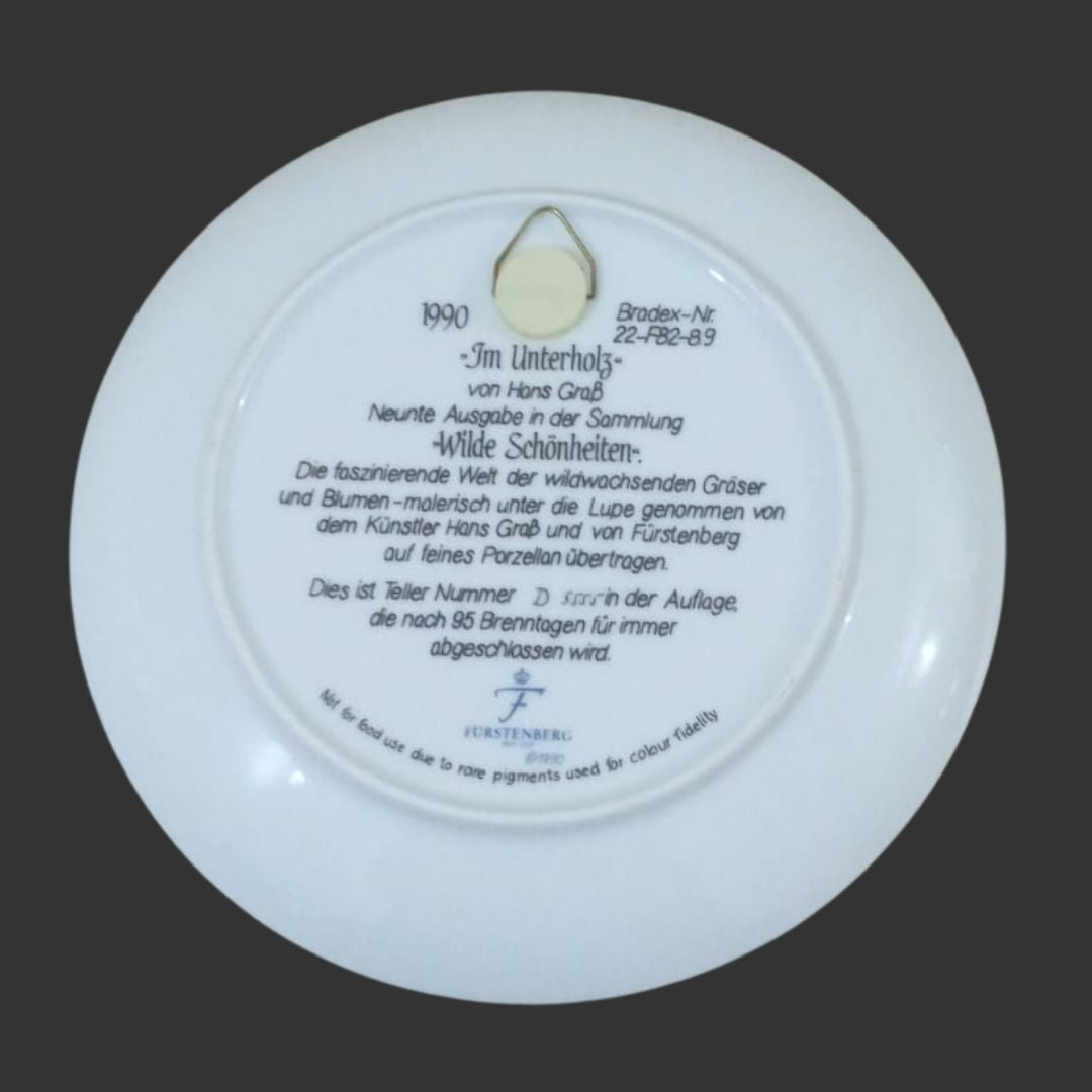 Wall Hanging Plate