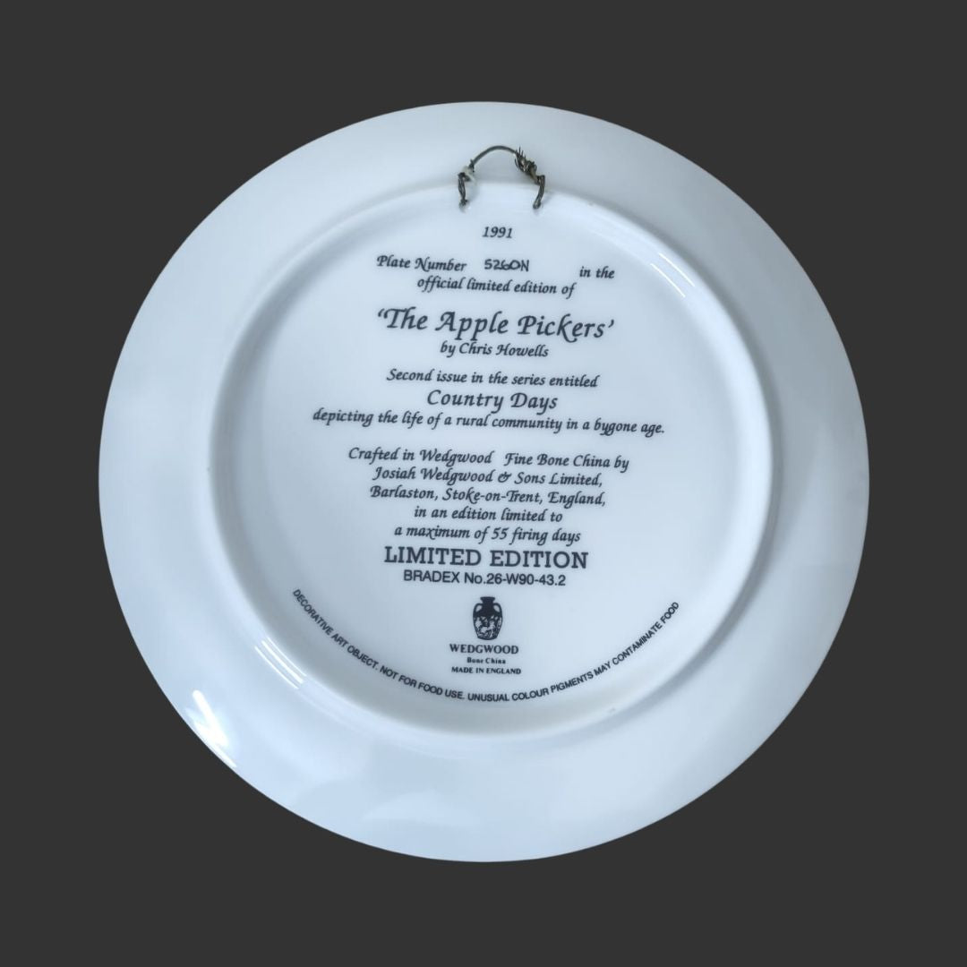 Wall Hanging Plate