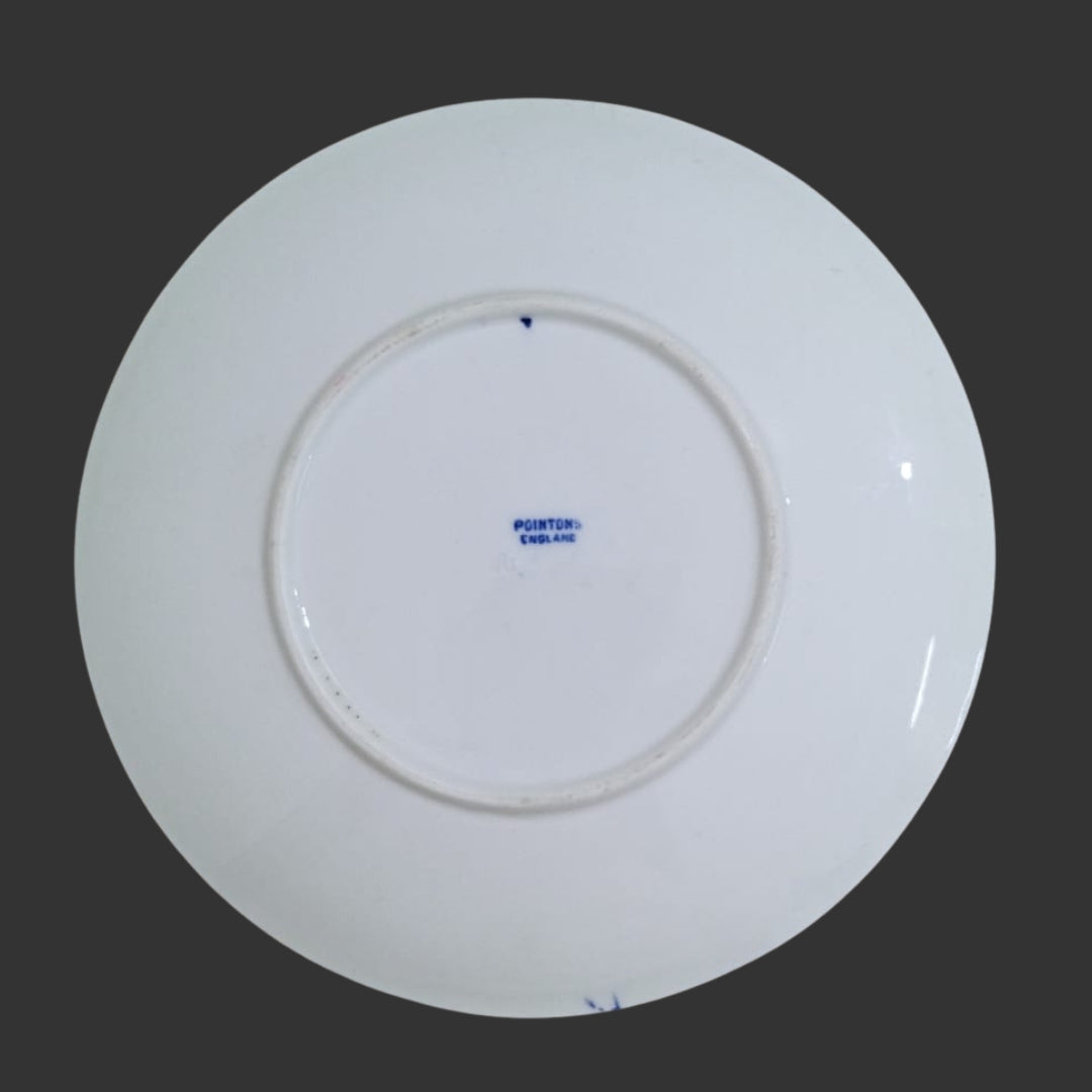 Wall Hanging Plate