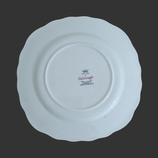Set of 07 quarter plate