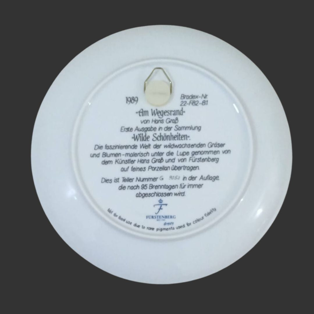 Wall hanging plate