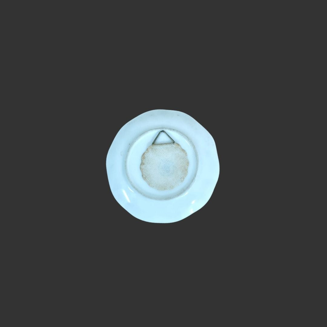 Miniature Wall Hanging Plate