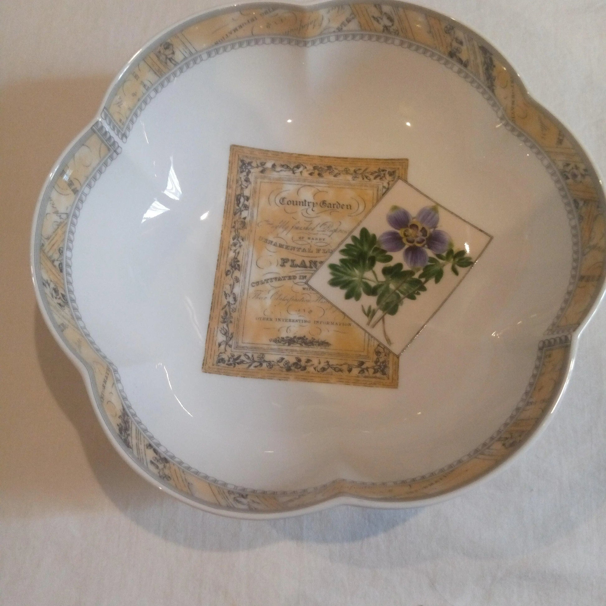 Bowl Acilis The Design Company