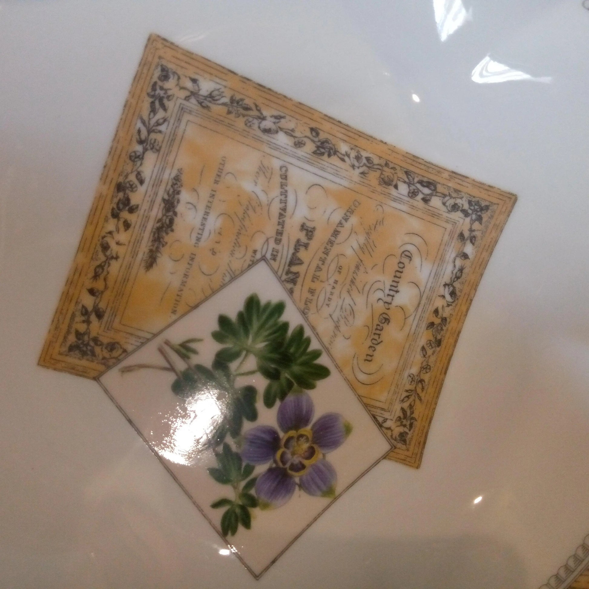 Bowl Acilis The Design Company