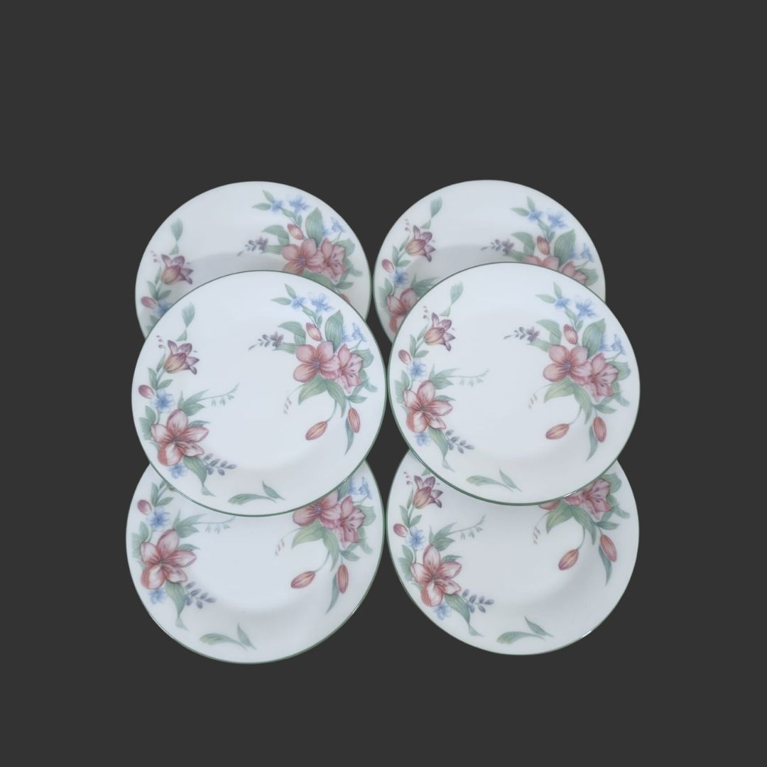 Set of 06 Quarter Plates