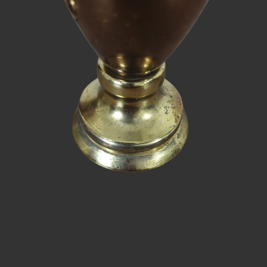 Pair of Dragon Handle Jugs