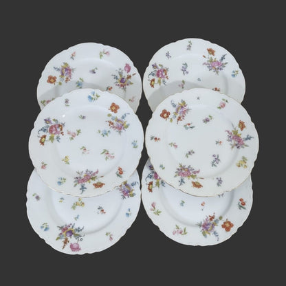 Set of 06 Serving Plate
