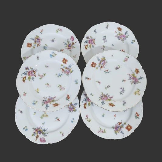 Set of 06 Serving Plate