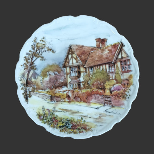Wall hanging plate