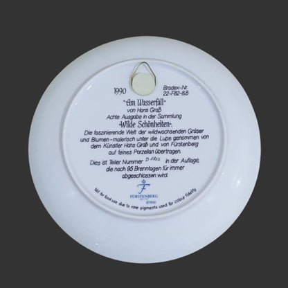 Wall hanging plate