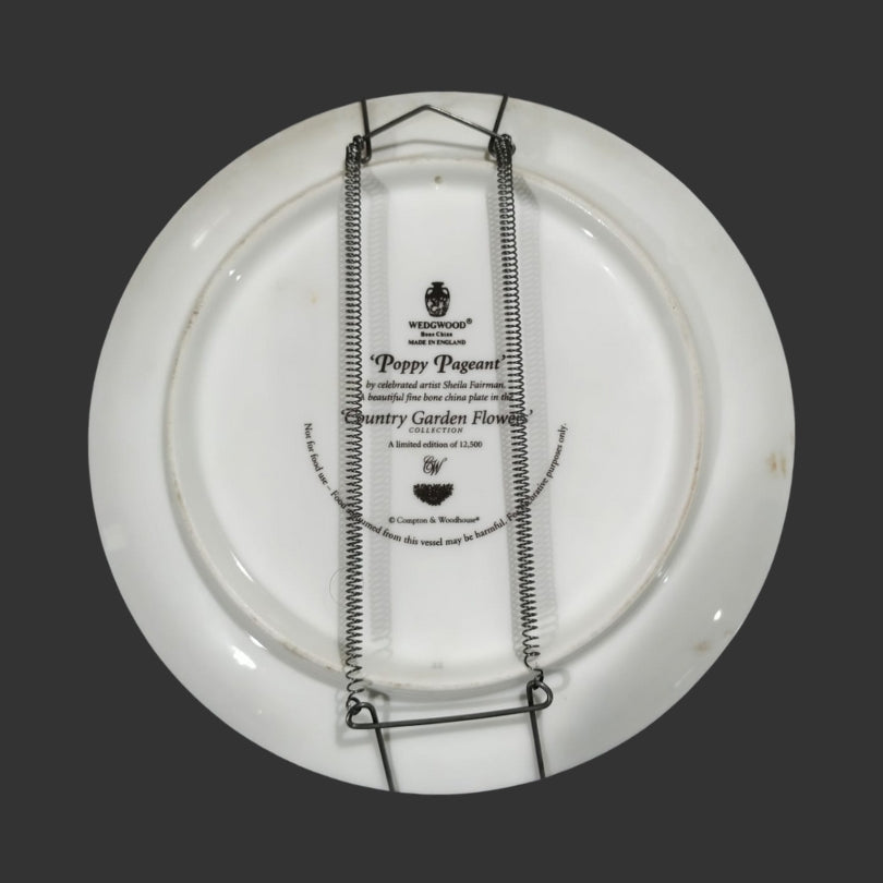 Wall Hanging Plate