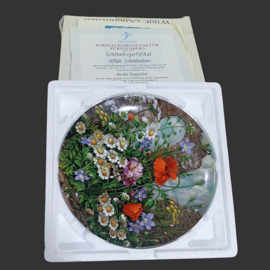 Wall hanging plate
