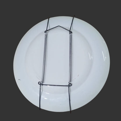 Wall Hanging Plate
