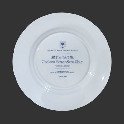 Wall Hanging Plate