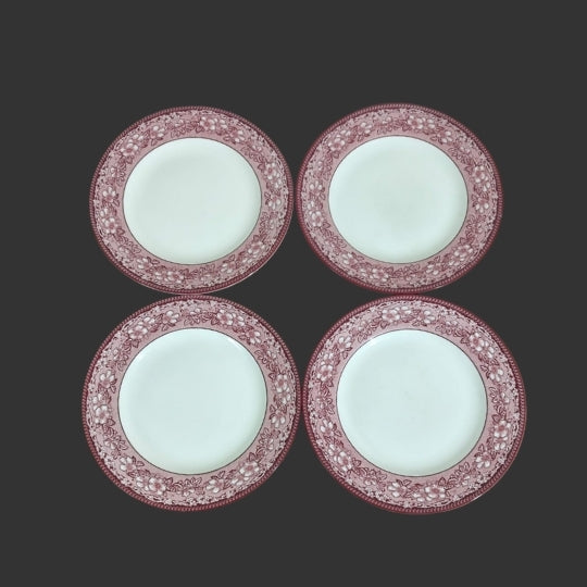 Set of 04 Dinner Plates