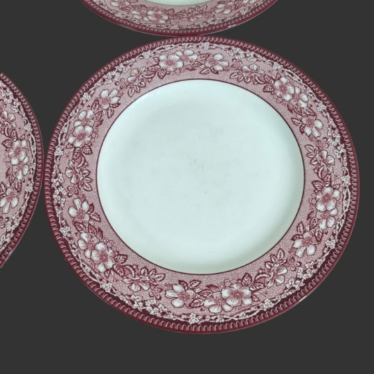 Set of 04 Dinner Plates