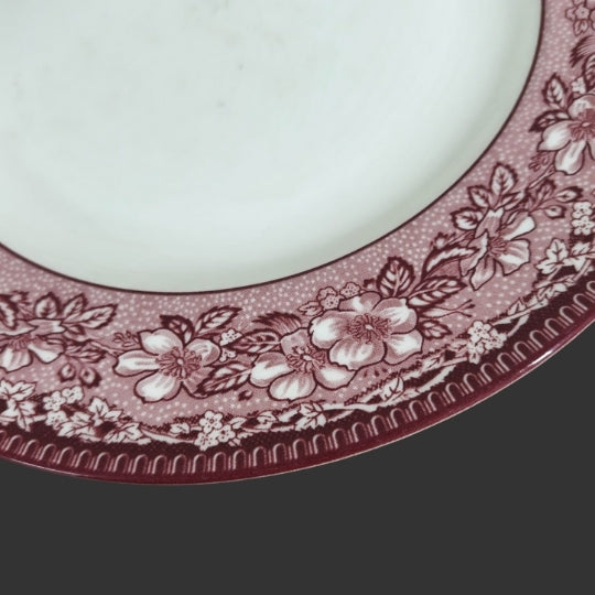 Set of 04 Dinner Plates