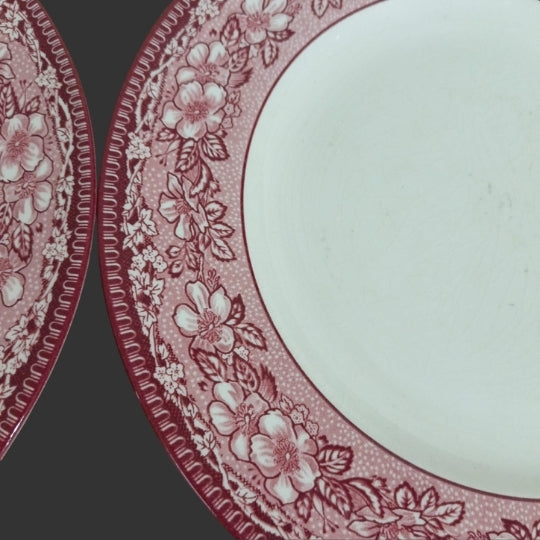 Set of 04 Dinner Plates