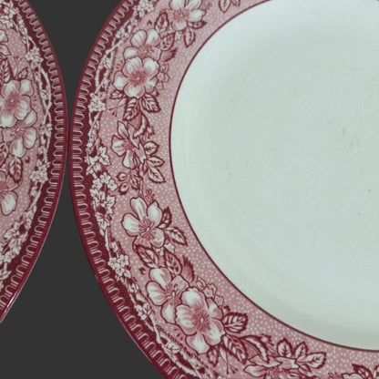 Set of 04 Dinner Plates