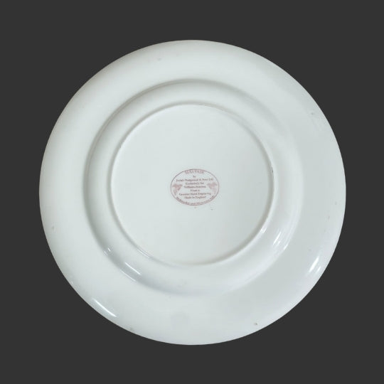 Set of 04 Dinner Plates