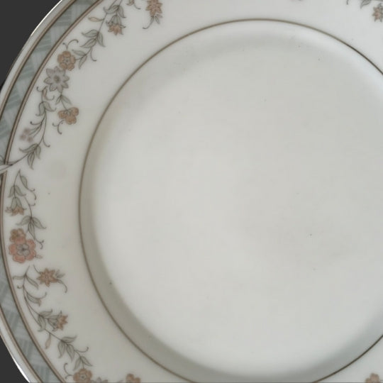Dinner plate