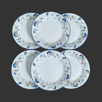 Set of 06 Quarter Plates