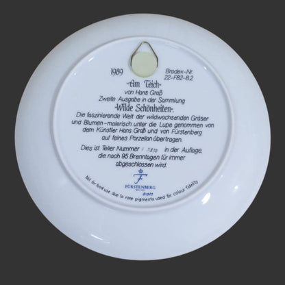 Wall Hanging Plate