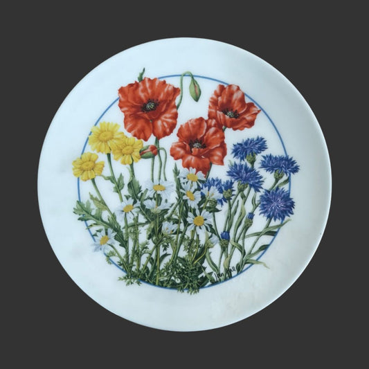 Wall Hanging Plate