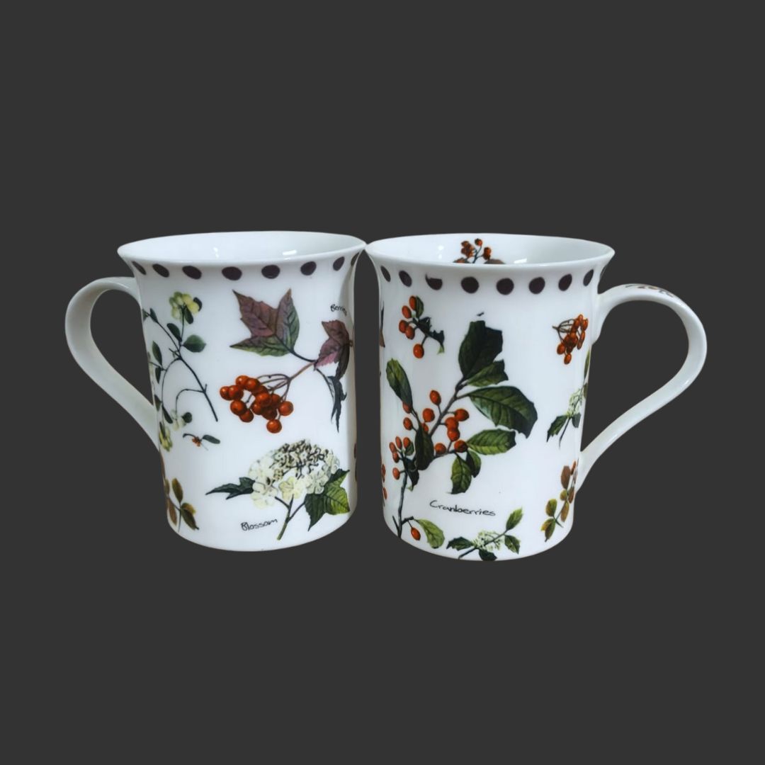 A pair of cups