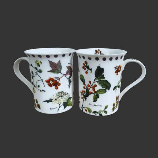 A pair of cups