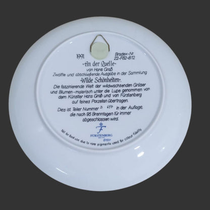 Wall Hanging Plate