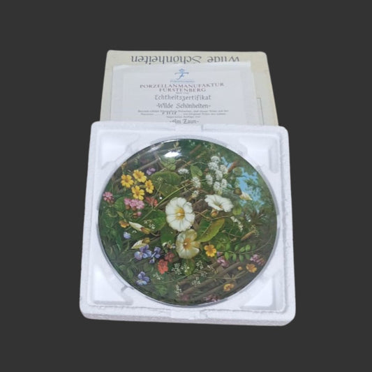 Wall Hanging Plate