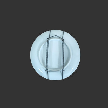Wall Hanging Plate