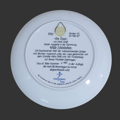 Wall Hanging Plate