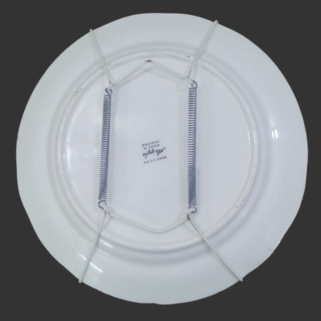 Wall Hanging Plate
