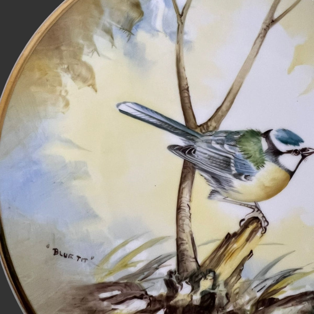 Wall Hanging Plate