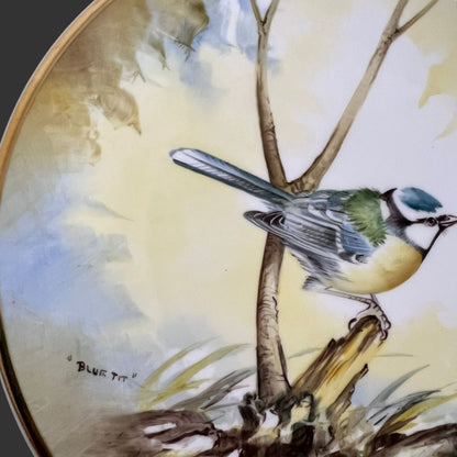 Wall Hanging Plate