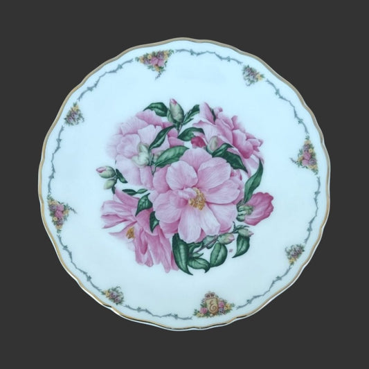 Wall Hanging Plate
