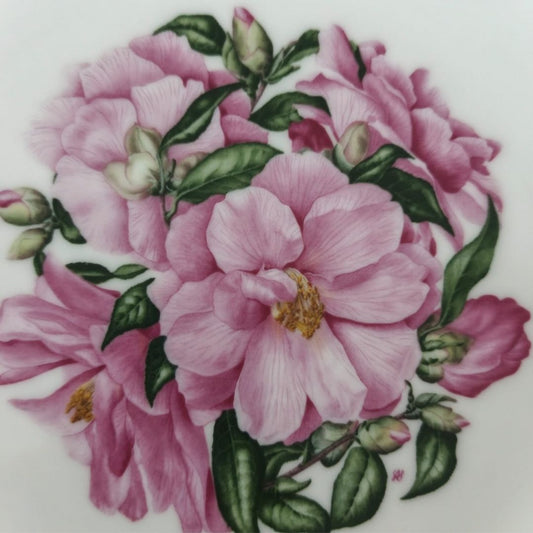 Wall Hanging Plate